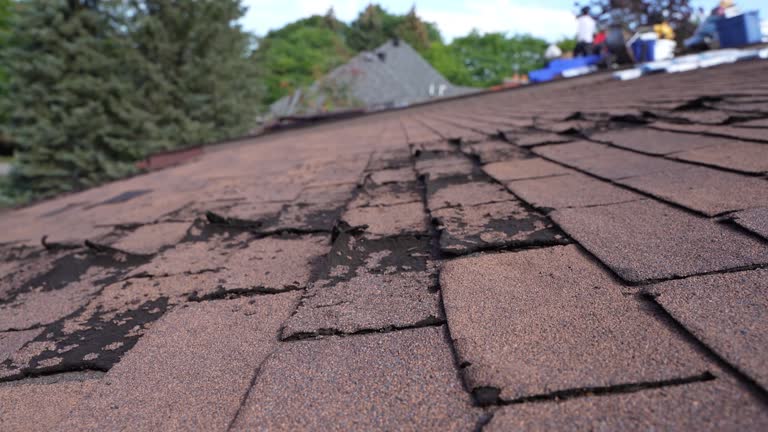 Best Cold Roofs  in Holiday Valley, OH