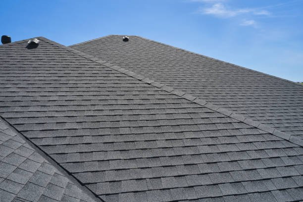 Best Roof Moss and Algae Removal  in Holiday Valley, OH
