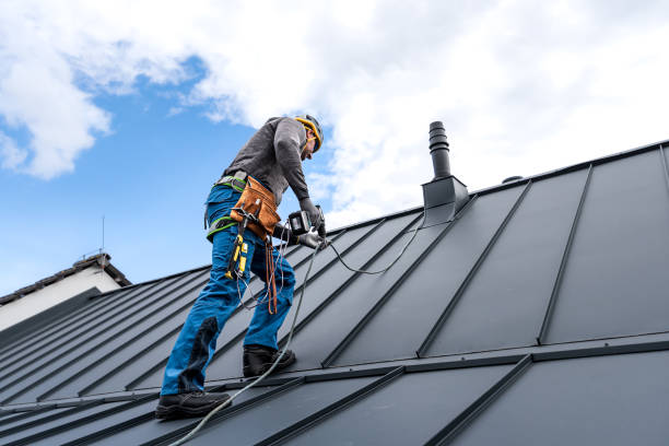 Best Sheet Metal Roofing  in Holiday Valley, OH